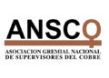 Opinión de ANSCO a acuerdo CODELCO-SQM